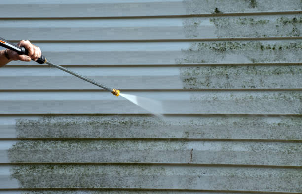 Home Mold Removal in Sewanee, TN